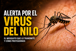 Muere un vecino de Dos Hermanas por el virus del Nilo Occidental: Sevilla refuerza la vigilancia frente al mosquito transmisor